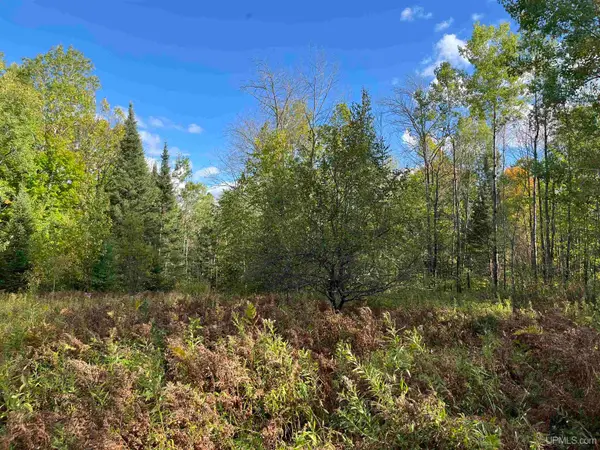 TBD 70, Tipler T-WI, WI 54542