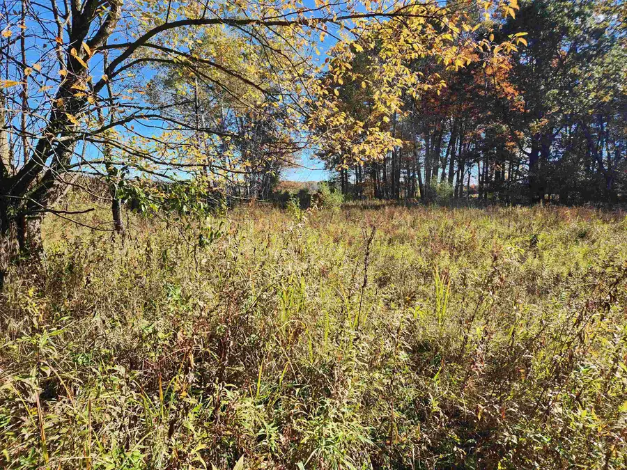 2356 W Olson, Sanford, MI 48657 - Image #2