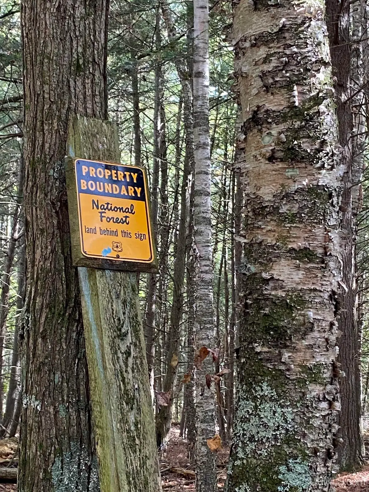 TBD East Stonington Aa.5, Rapid River, MI 49878 - Image #1