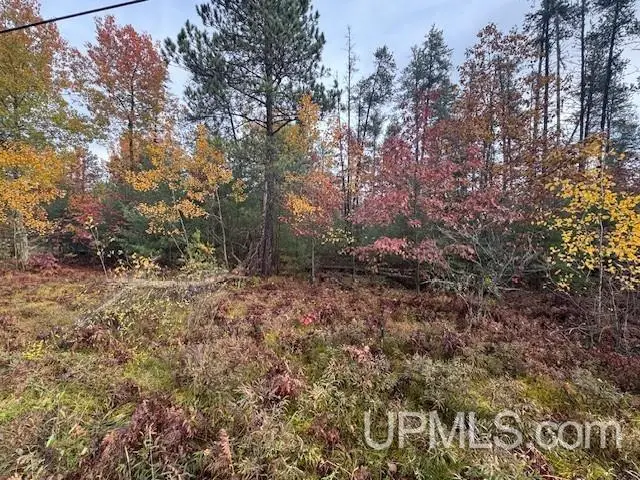 1.38A E Johnson Lake, Gwinn, MI 49841 - Image #1