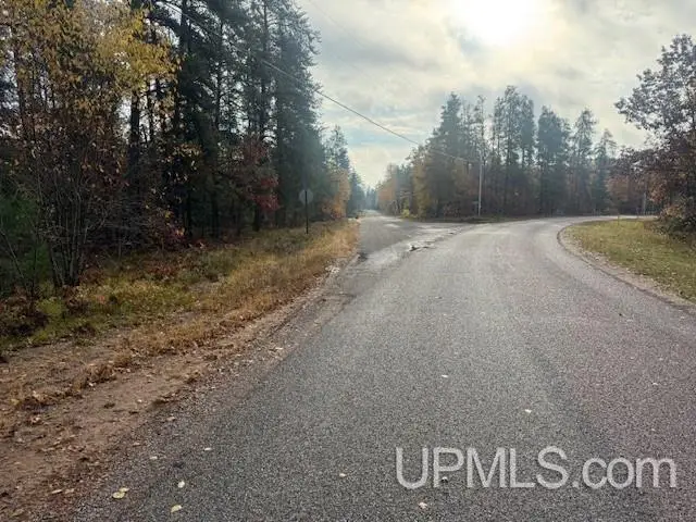 1.38A E Johnson Lake, Gwinn, MI 49841 - Image #3