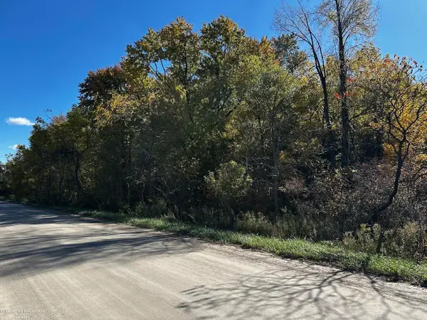 Parcel A2 Hunters Creek, Imlay City, MI 48444