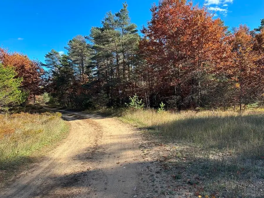 58 Acres E Cranberry Lake, Harrison, MI 48625 - Image #2