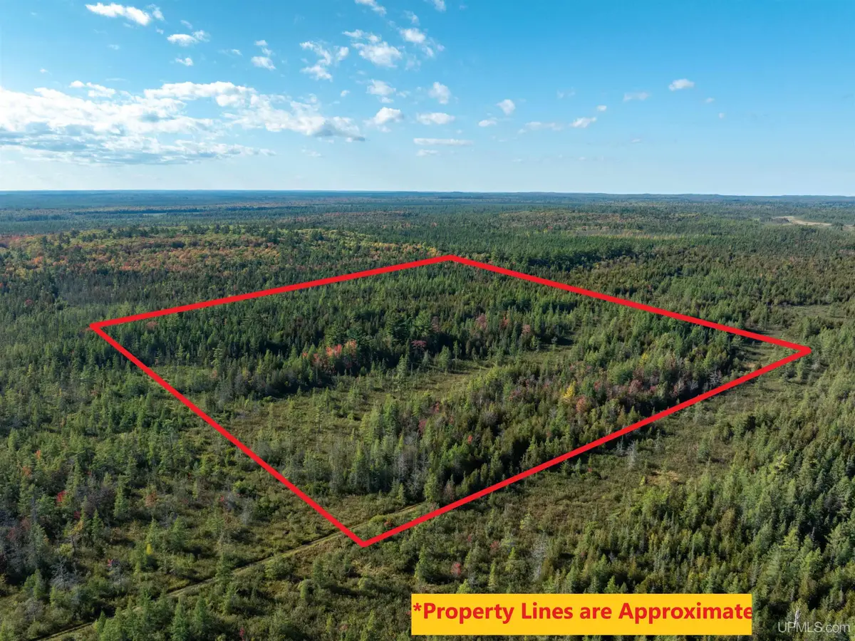 TBD 40A Old Plank, Wetmore, MI 49895 - Image #1