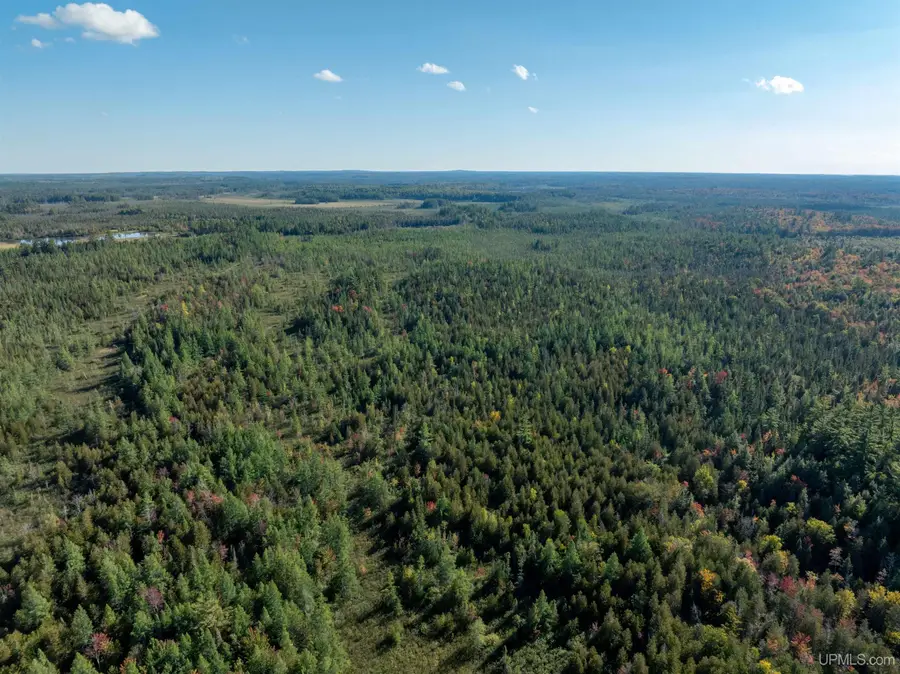 TBD 40A Old Plank, Wetmore, MI 49895 - Image #2