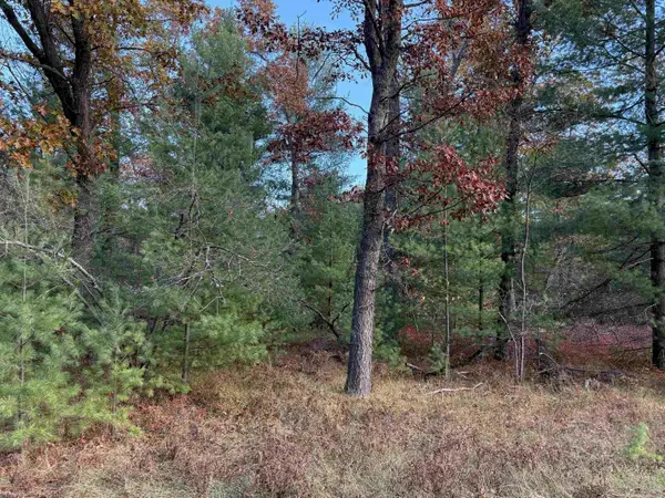Lot 99 Wilderness, Alger, MI 48610