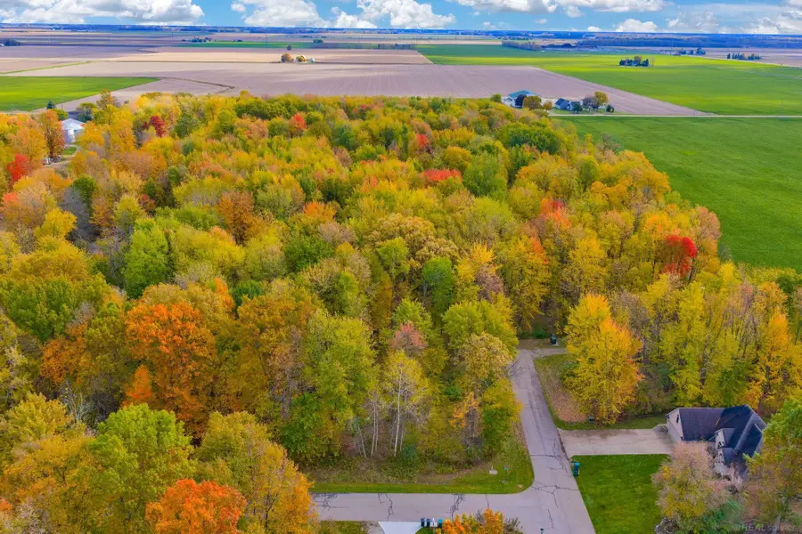 Lot 22 Northwood, Sandusky, MI 48471 - Image #3