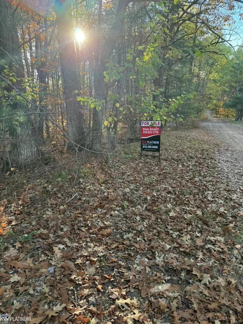 00 Park Ne, Kalkaska, MI 49646 - Image #1