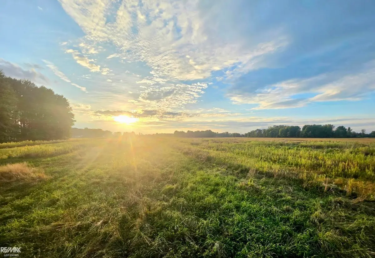 1142 Wales Center, Goodells, MI 48027 - #1