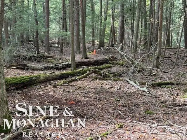 00001 E Cherry Park, Northport, MI 49670 - #2