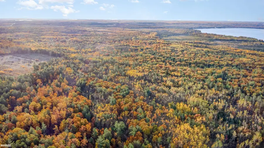 21000 Ash, Onaway, MI 49765 - #3