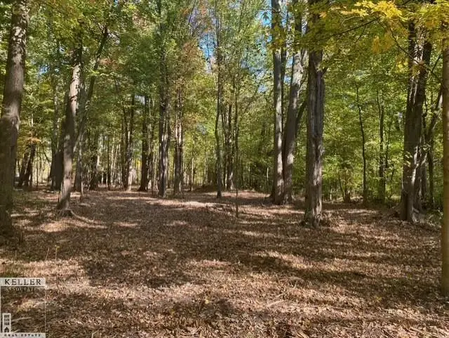 Parcel #1 Smith, New Haven, MI 48050 - Image #2