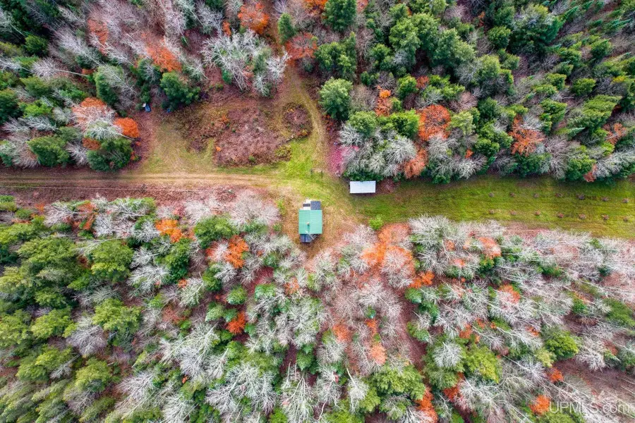 240 Acres Long Lake, Wetmore, MI 49895 - Image #3