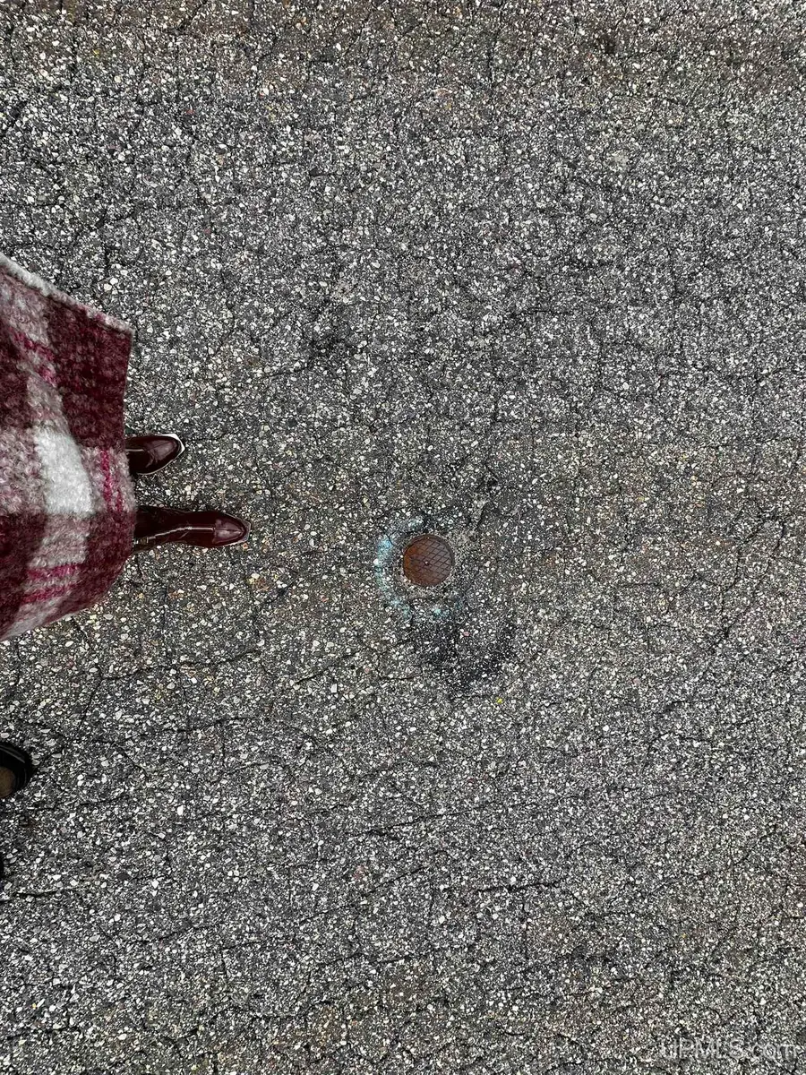 TBD Harry Peterson, Foster City, MI 49834 - Image #2