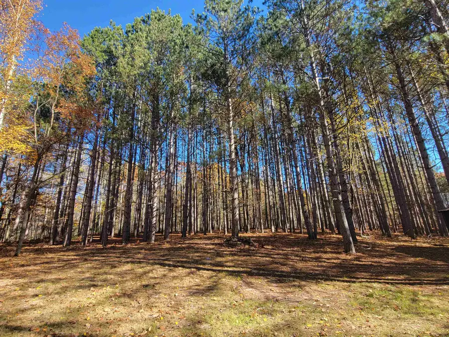 3385 Jones, Beaverton, MI 48612 - #2