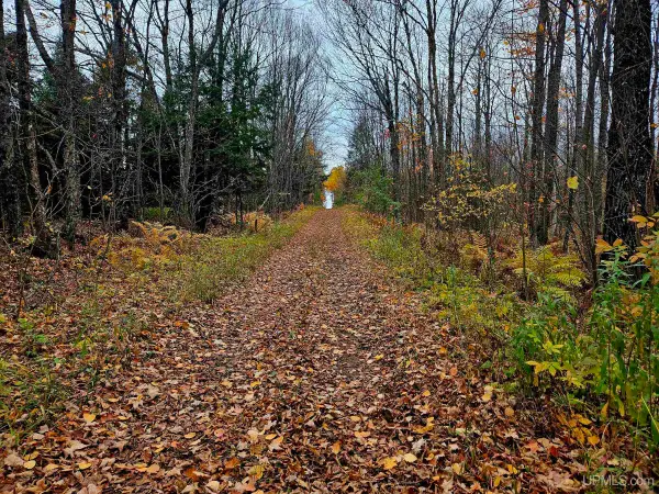 TBD Koskela, Wakefield, MI 49968