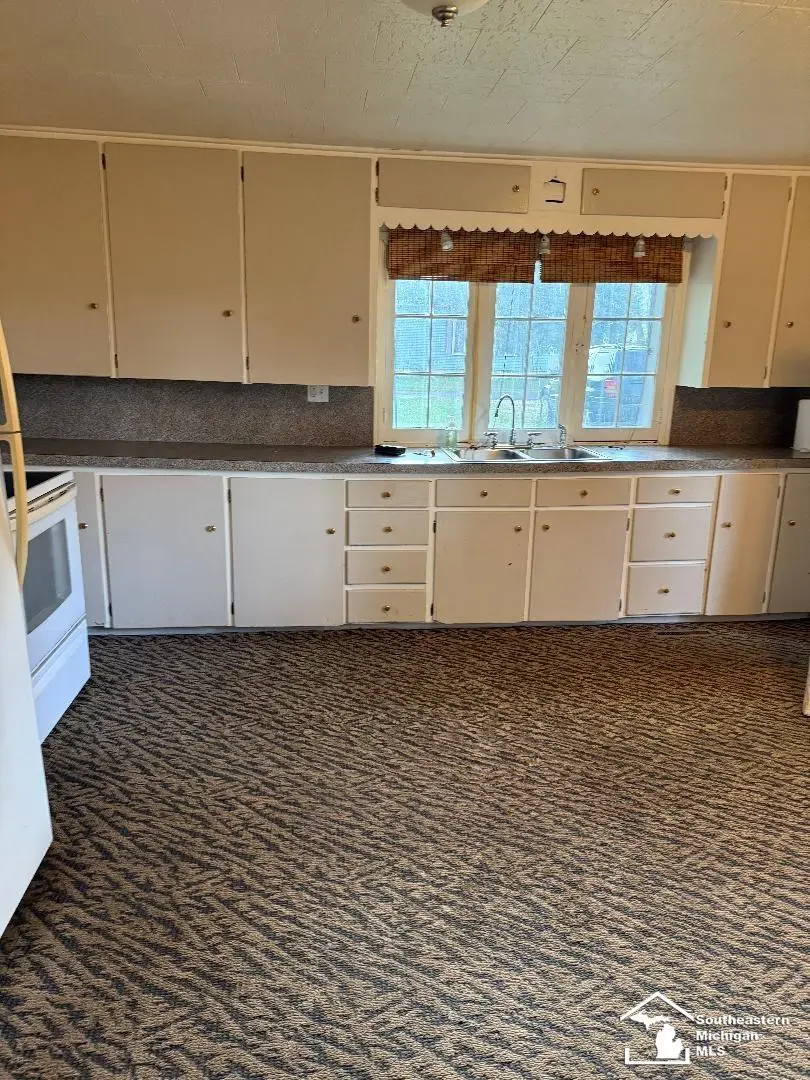 29 E Vesey, Petersburg, MI 49270 - #2