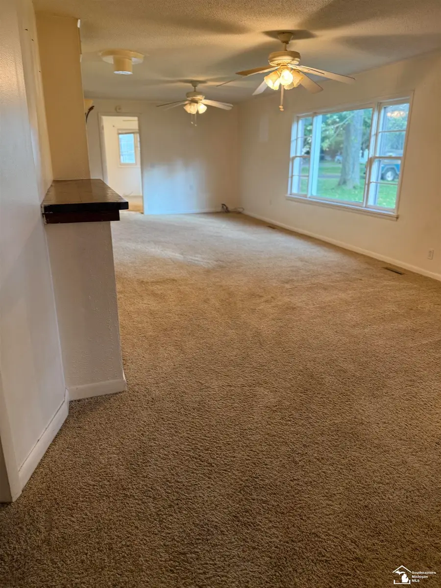 29 E Vesey, Petersburg, MI 49270 - #3
