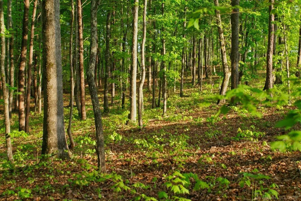 11261 21 Mile, Shelby Charter Township, MI 48317 - Image #1