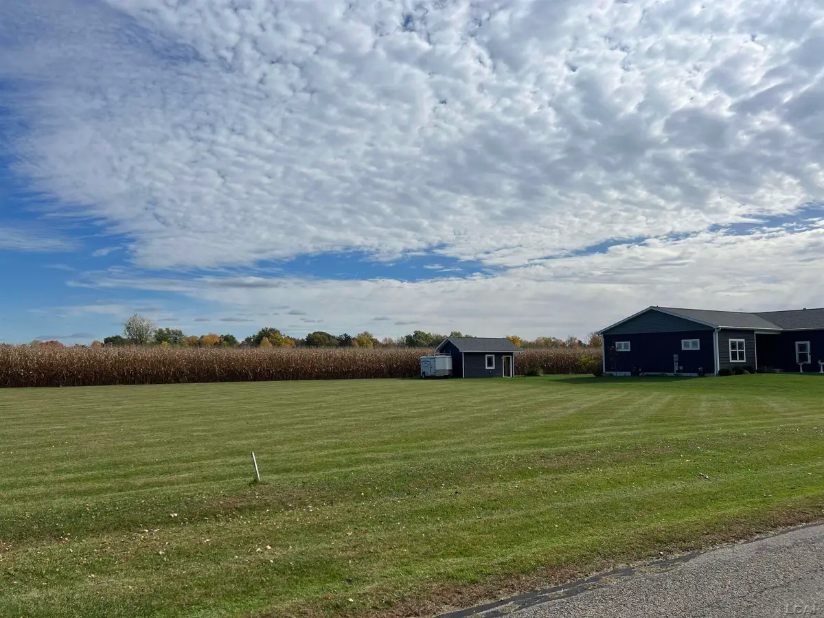 5000 Ricker Hwy Block, Lot 2, Blissfield, Blissfield, MI 49228 - Image #1