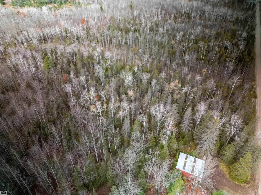 6350 E Tower, Onaway, MI 49765 - Image #2