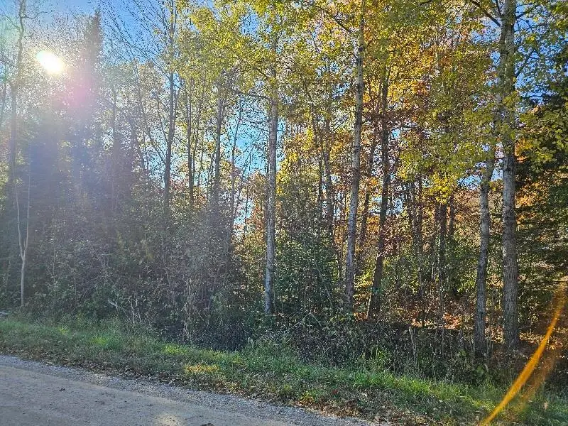 1.9 Acres Indian Lake, Gladwin, MI 48624 - Image #2