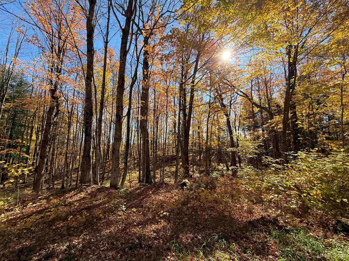 Parcel 230 Blue, Pelkie, MI 49958 - Image #1