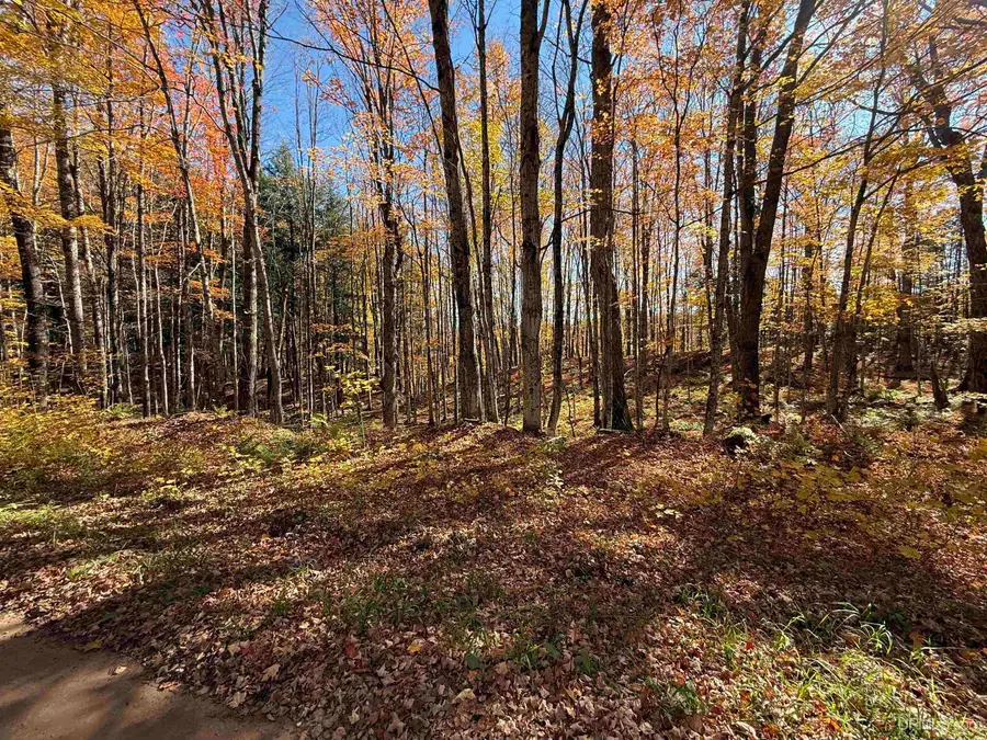 Parcel 230 Blue, Pelkie, MI 49958 - Image #2