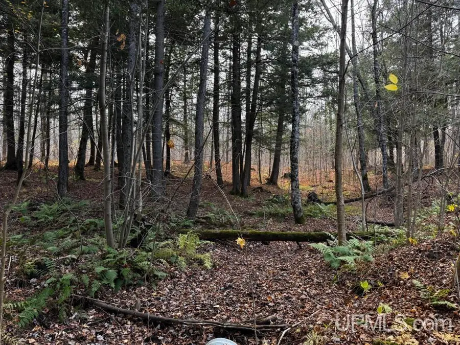 TBD OFF Skanee, Skanee, MI 49962 - Image #3