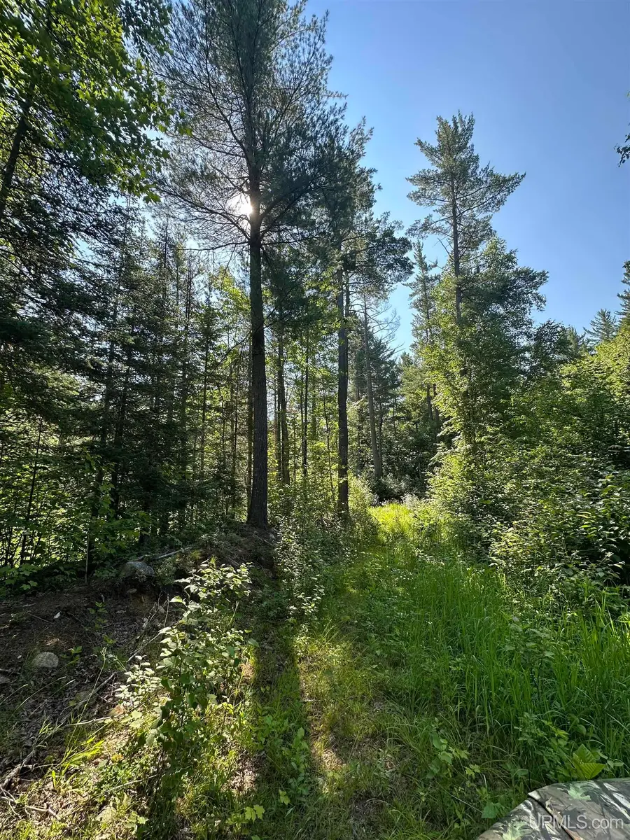 Off Indian Lake, Michigamme, MI 49861 - Image #3