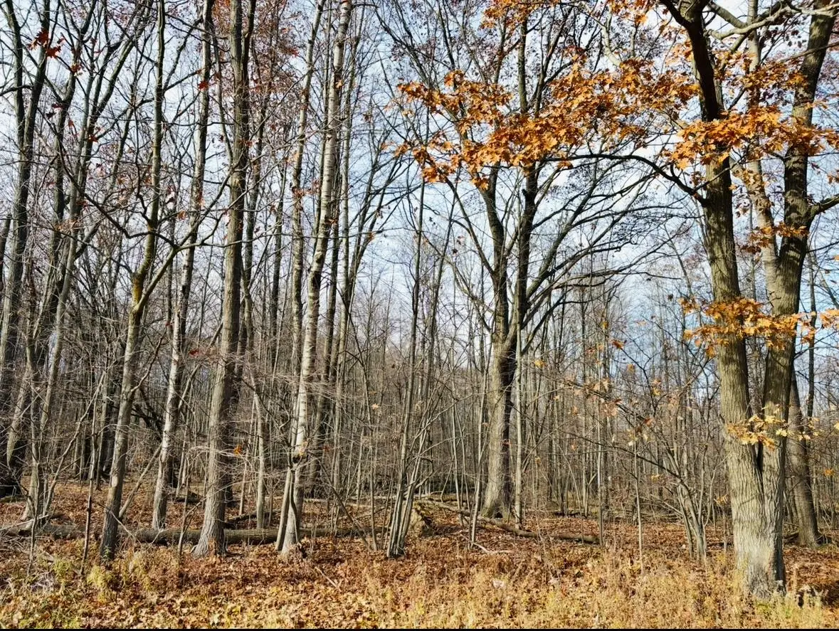 0 N Waldo, Midland, MI 48642 - Image #1