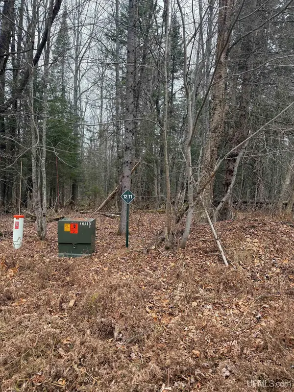 Lot 11 Keweenaw, Lake Linden, MI 49945