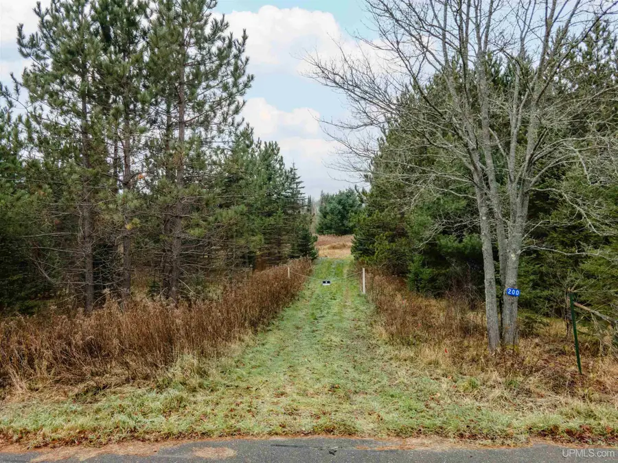 200 Olson Loop, Iron River, MI 49935 - Image #2