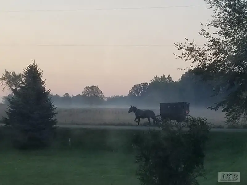 6395 E Beaverton, Clare, MI 48617 - Image #3