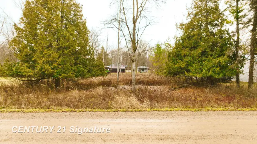 8097 Lakeview, Clare, MI 48617 - Image #2