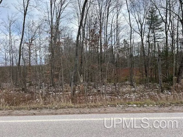 TBD 16 Mile Lk, Au Train, MI 49862 - Image #2