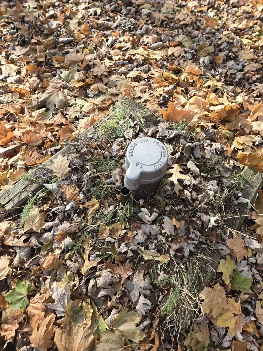 11209 Phyllis, Clio, MI 48420 - #2