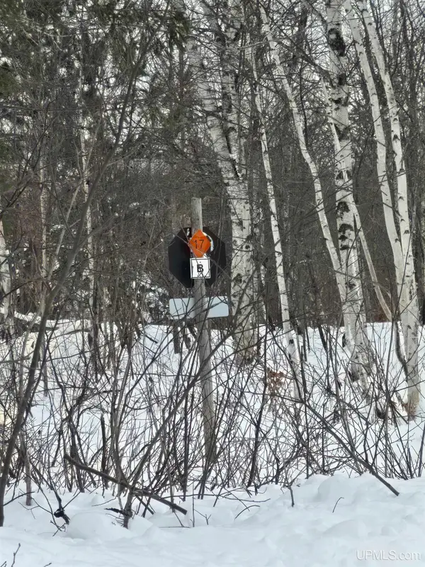 TBD Electric Park, Calumet, MI 49913