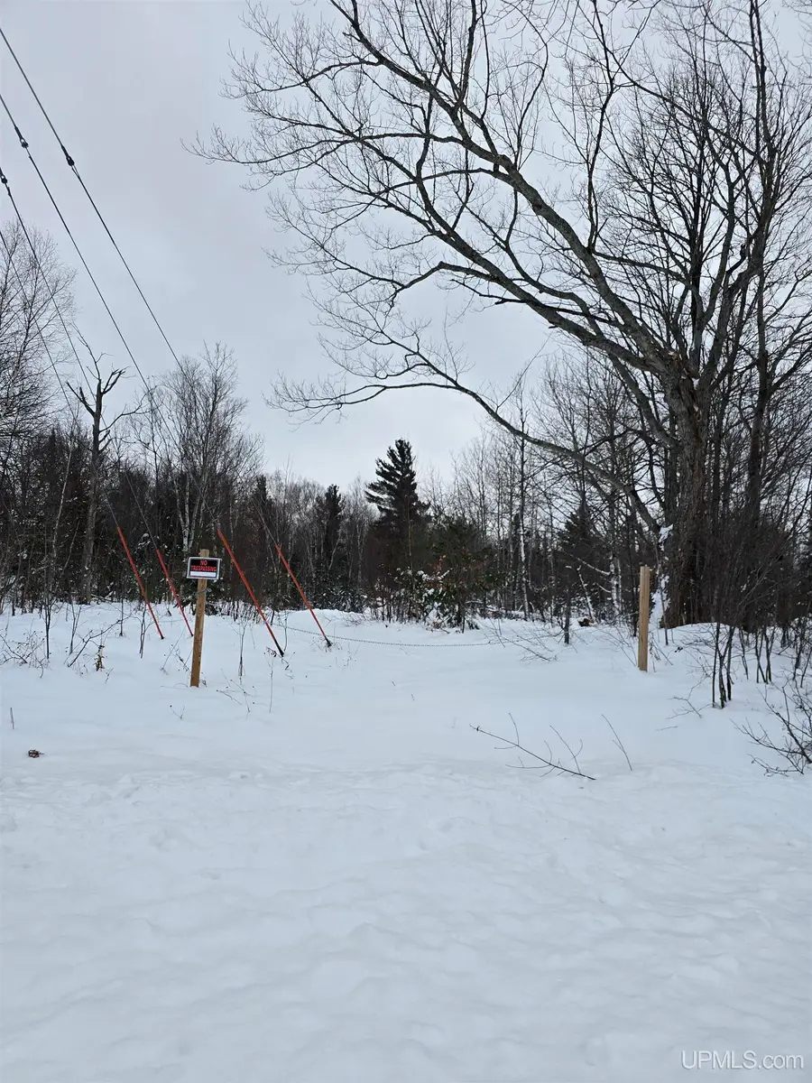 TBD Electric Park, Calumet, MI 49913 - Image #2