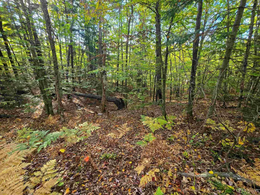 TBD Buckhorn, Wetmore, MI 49895 - Image #3