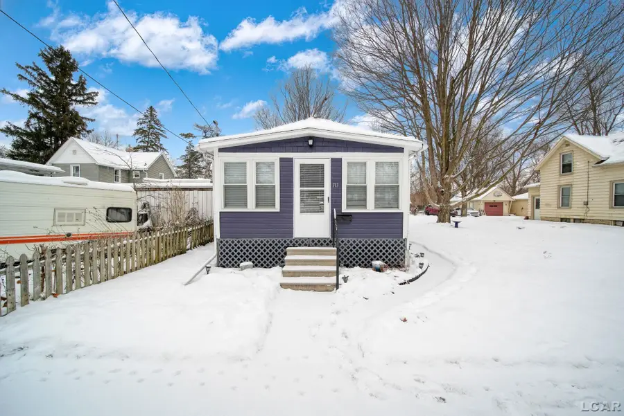 313 Rice, Adrian, MI 49221 - #2