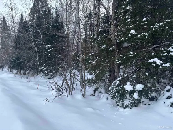 TBD Al County, Champion, MI 49814