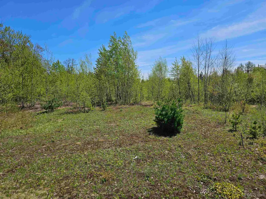 TBD N Greenwood Lake, Ishpeming, MI 49849 - Image #2