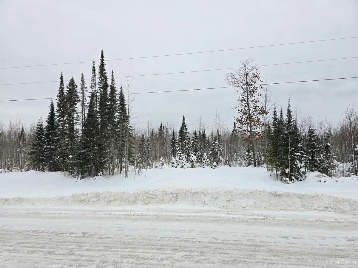 TBD Parcel 1 Townline, Lanse, MI 49946 - Image #1