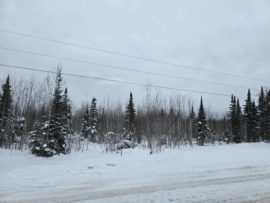 TBD Parcel 1 Townline, Lanse, MI 49946 - Image #2