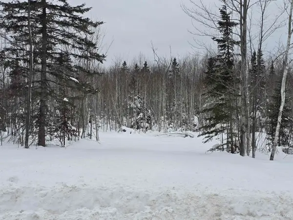 TBD Parcel 2 Townline, L'Anse, MI 49946