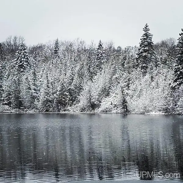 TBD Off Laurel Lake, Newberry, MI 49868