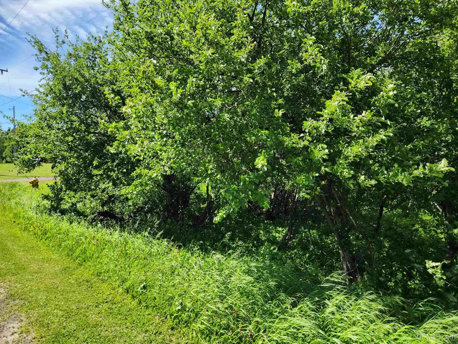 TBD A No 4, Calumet, MI 49913 - Image #3