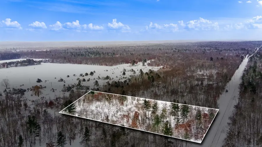 0 N Dagget, Howard City, MI 49329 - Image #2