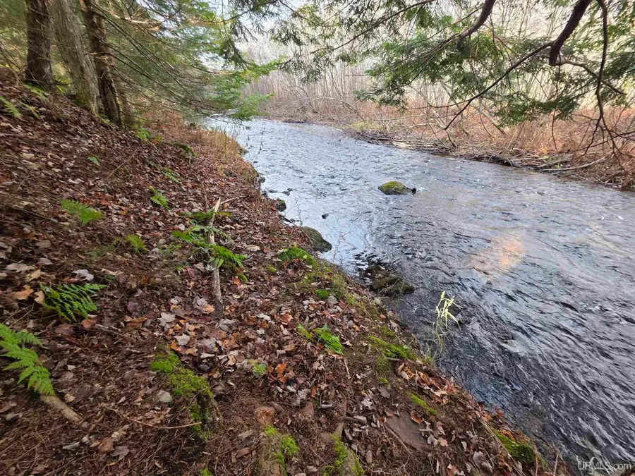 8285 Peter White, Deerton, MI 49822 - Image #3